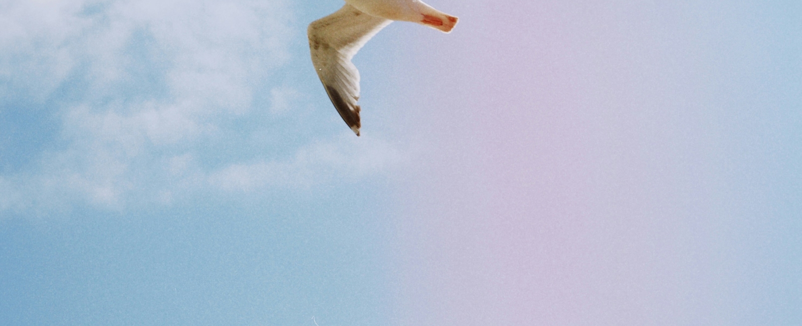 Solving Windows Path Length Limitations in Git